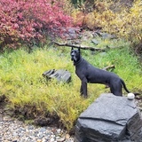 Entry image for Duke