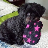 Entry image for Lucy