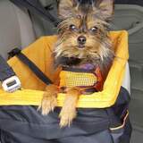 Entry image for Snickers