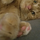 Entry image for Andy