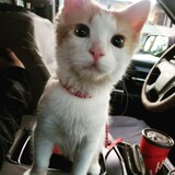 Entry image for Fergus Bean