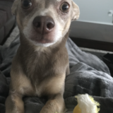 Entry image for Maddix