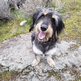 Entry image for Freddy 