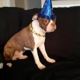 Entry image for Blaze