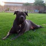 Entry image for Molly