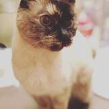 Entry image for Jilly