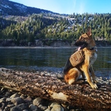 Entry image for Rigsby