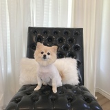 Entry image for Chanel