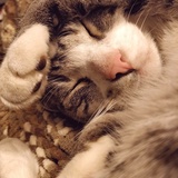 Entry image for Odin