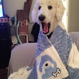 Entry image for Loki