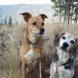 Entry image for Trinity & Lokie