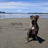 Entry image for Seymour