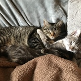 Entry image for Arlee and Luna-Tuna