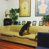 Entry image for Sarah