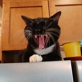 Entry image for Bentley