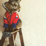 Entry image for Finn