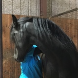 Entry image for Kashtin 