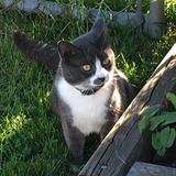 Entry image for Larry