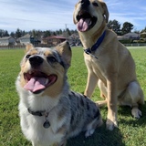 Entry image for Suki and Mac