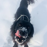 Entry image for Cash