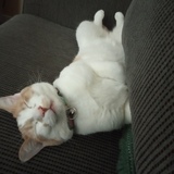 Entry image for Prince McArthur