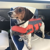 Entry image for Dudley