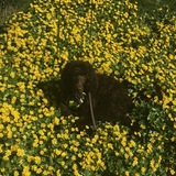 Entry image for Valentino