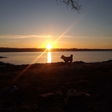 Entry image for Smokey