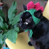 Entry image for Ruby