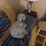 Entry image for George