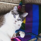 Entry image for Luke