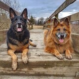 Entry image for Finley and Sable