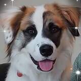 Entry image for Hudson