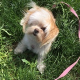 Entry image for Arizona