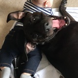 Entry image for Rumble