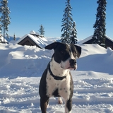 Entry image for Maggie