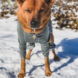 Entry image for Miley