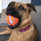 Entry image for Luna