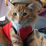 Entry image for Dempsey