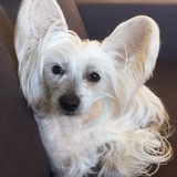 Entry image for Marlee