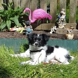 Entry image for Kyla Marie 