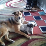 Entry image for Doobie and Lilly