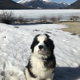 Entry image for Lewis