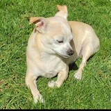 Entry image for Chloe 