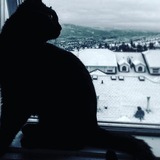 Entry image for Arabella