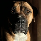 Entry image for Little Bit 