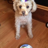 Entry image for Bannie