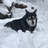 Entry image for Alaska