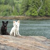 Entry image for Roxy and Ella