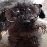 Entry image for Brutus